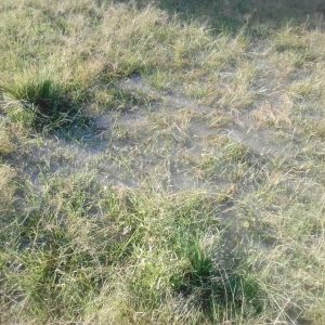 Condition of our compound