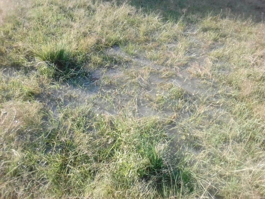 Condition of our compound